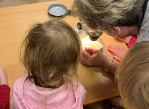 Wiewiórki- zabawy z mikroskopem – obserwacja śniegu i owadów!