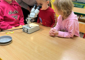 Wiewiórki- zabawy z mikroskopem