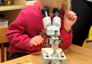 Wiewiórki- zabawy z mikroskopem