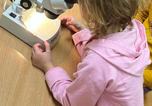 Wiewiórki- zabawy z mikroskopem