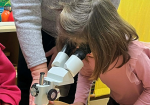 Wiewiórki- zabawy z mikroskopem