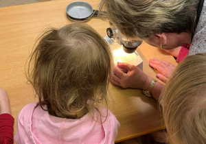 Wiewiórki- zabawy z mikroskopem