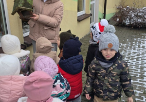 Niedźwiadki- dokarmianie ptaków!