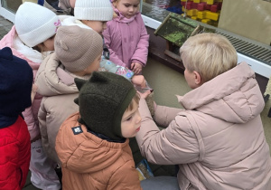 Niedźwiadki- dokarmianie ptaków!