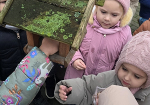 Niedźwiadki- dokarmianie ptaków!