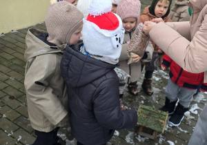 Niedźwiadki- dokarmianie ptaków!