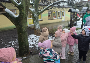 Niedźwiadki- dokarmianie ptaków!