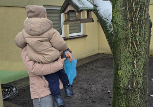 Niedźwiadki- dokarmianie ptaków!