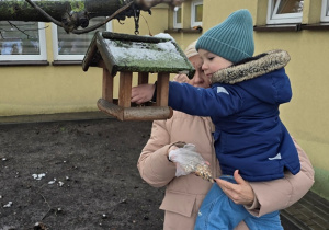 Niedźwiadki- dokarmianie ptaków!