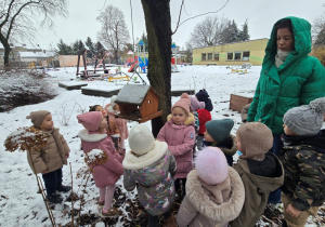 Niedźwiadki- dokarmianie ptaków!