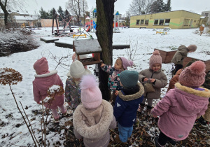 Niedźwiadki- dokarmianie ptaków!