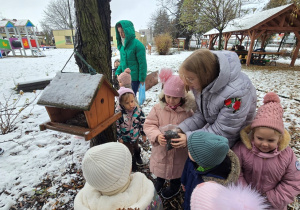 Niedźwiadki- dokarmianie ptaków!