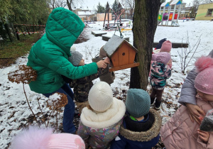 Niedźwiadki- dokarmianie ptaków!
