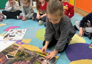 Sówki- zajęcia o zwierzętach!