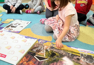 Sówki- zajęcia o zwierzętach!