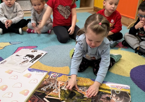 Sówki- zajęcia o zwierzętach!