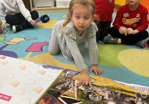 Sówki- zajęcia o zwierzętach!