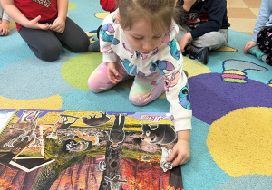 Sówki- zajęcia o zwierzętach!