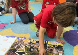 Sówki- zajęcia o zwierzętach!