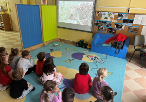 Sówki- zajęcia o zwierzętach!