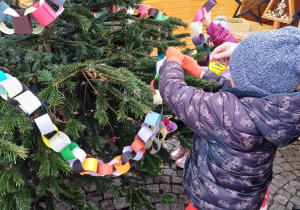 Wiewiórki ubrały jedną z choinek na starym Rynku w Łowiczu!