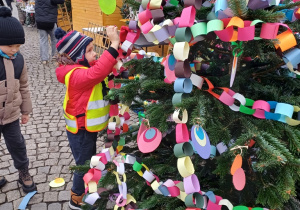 Wiewiórki ubrały jedną z choinek na starym Rynku w Łowiczu!