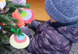 Wiewiórki ubrały jedną z choinek na starym Rynku w Łowiczu!