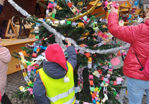 Wiewiórki ubrały jedną z choinek na starym Rynku w Łowiczu!