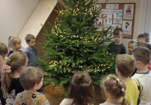 Jeżyki ubierają choinkę!