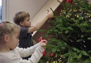 Jeżyki ubierają choinkę!