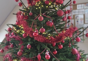 Jeżyki ubierają choinkę!