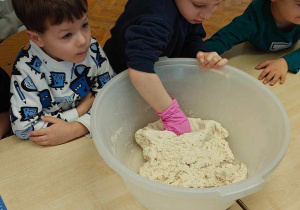 Ślimaczki w pełni świątecznej magii!
