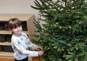 Ślimaczki w pełni świątecznej magii!