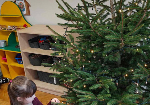 Ślimaczki w pełni świątecznej magii!