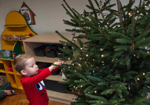 Ślimaczki w pełni świątecznej magii!