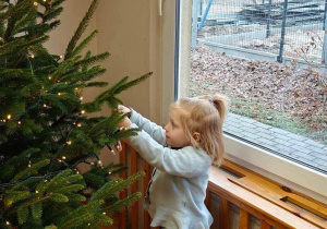 Ślimaczki w pełni świątecznej magii!