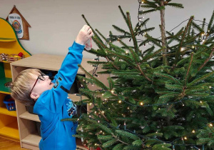 Ślimaczki w pełni świątecznej magii!