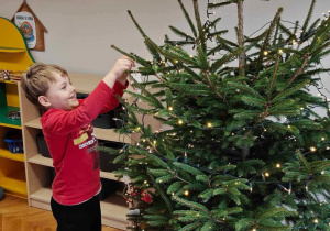 Ślimaczki w pełni świątecznej magii!