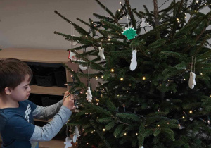 Ślimaczki w pełni świątecznej magii!