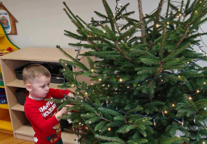Ślimaczki w pełni świątecznej magii!