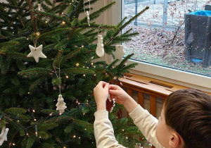 Ślimaczki w pełni świątecznej magii!