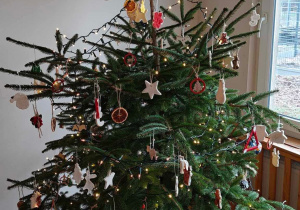 Ślimaczki w pełni świątecznej magii!