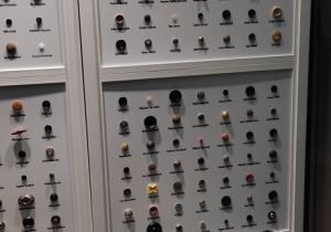 Dzień Guzika w Jeżykach!