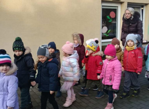 Sówki dokarmiają ptaki!