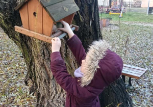 Sówki dokarmiają ptaki!