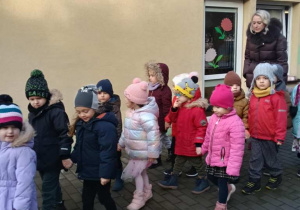 Sówki dokarmiają ptaki!