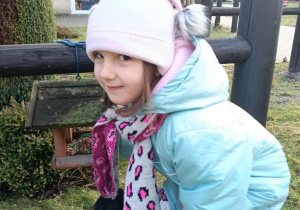 Sówki dokarmiają ptaki!