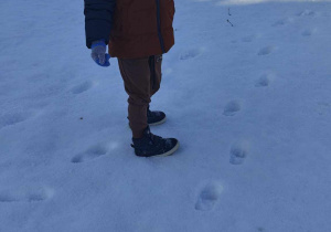 Zimowe zabawy na śniegu Ślimaczków!