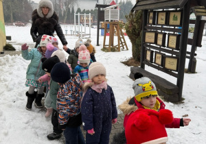 Sówki- zimowy spacer!