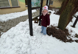 Sówki- zimowy spacer!